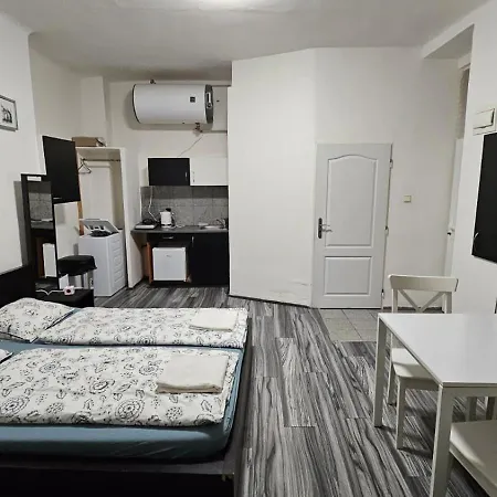 Small In Downtown For Groups Apartmán *